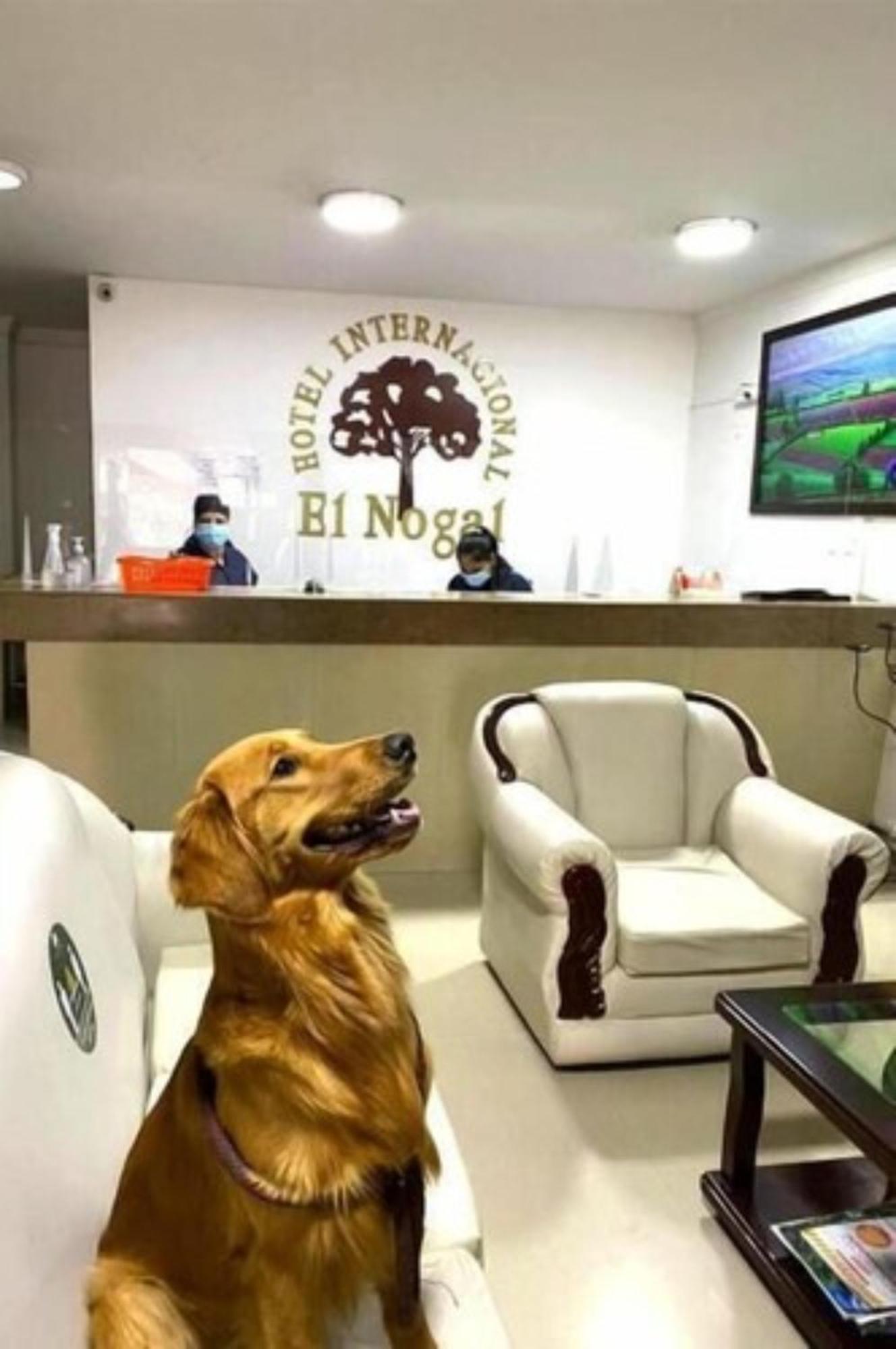 Hotel Internacional El Nogal Ipiales Zewnętrze zdjęcie